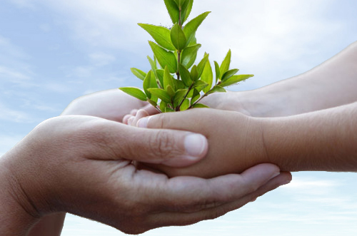 Corporate Sustainability